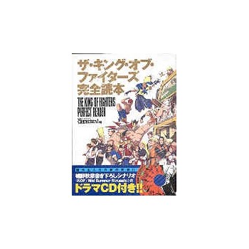 THE KING OF FIGHTERS PERFECT READER