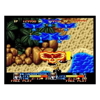 NINJA COMMANDO "MVS"