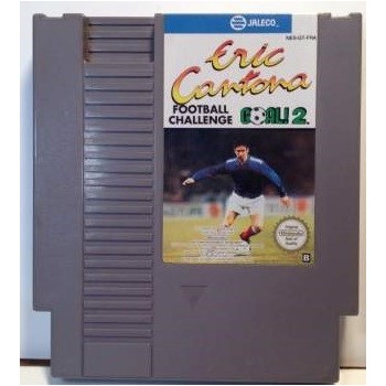 ERIC CANTONA FOOTBAL CHALLENGE GOAL 2 (cart seule)