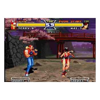 REAL BOUT SPECIAL FATAL FURY "Mvs"