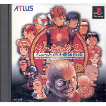 POWER INSTINCT 2  (gouketuji ichizoku 2)