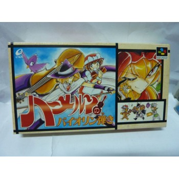 VIOLONIST OF HAMELIN