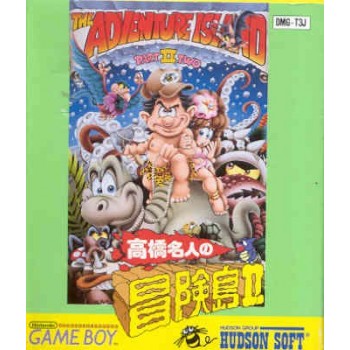 ADVENTURE ISLAND 2