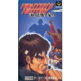 FIGHTER'S HISTORY 2