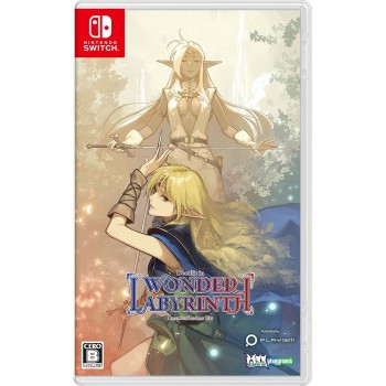 WONDER LABYRINTH SWITCH Japan