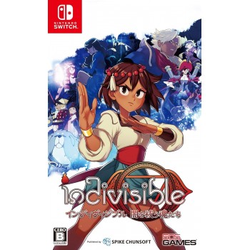 INDIVISIBLE SWITCH Japan