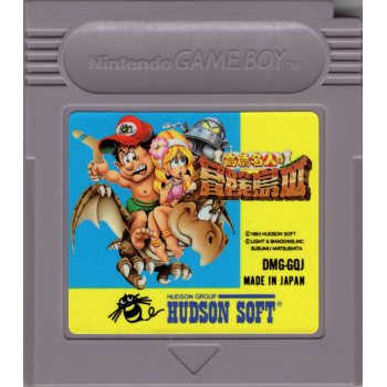 ADVENTURE ISLAND 2