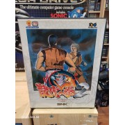ART OF FIGHTING 2 aes