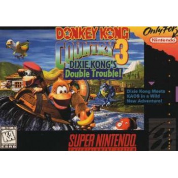 DONKEY KONG COUNTRY 3 us